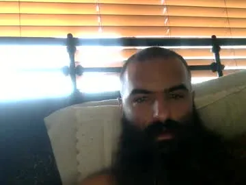 woof_wolf37 Image 4