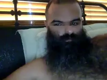 woof_wolf37 Image 5