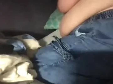 yourdoggydom Image 2